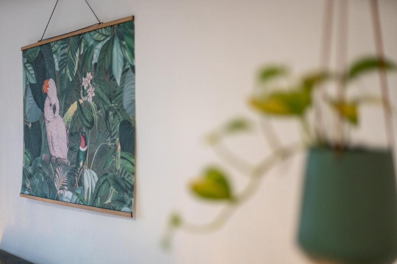 Kakadu - Zentral - Workplace - Gemeinschaftsterrasse, Snes Frankenberg an der Eder Esterno foto